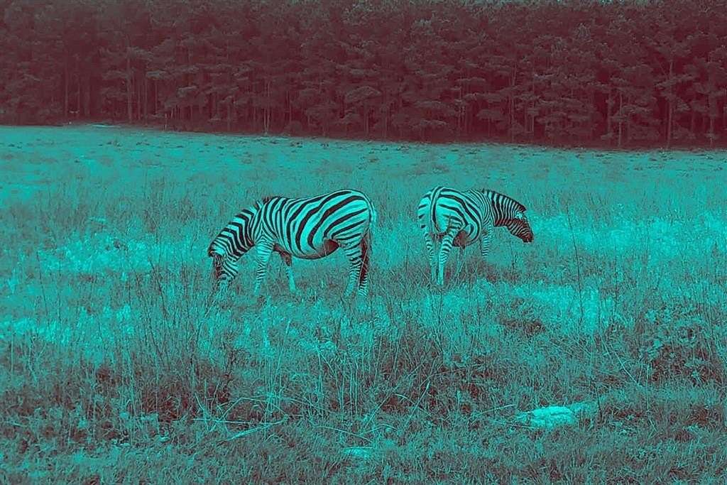 1.25 Acres of Residential Land for Sale in LaRue, Texas