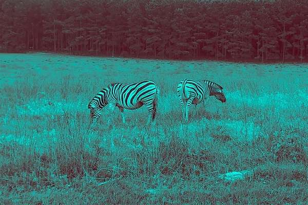 1.25 Acres of Residential Land for Sale in LaRue, Texas