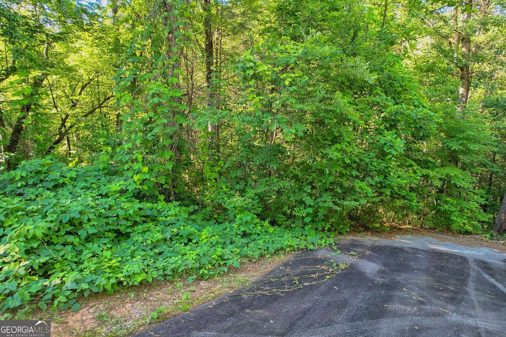 0.57 Acres of Residential Land for Sale in Clayton, Georgia