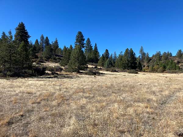 7.56 Acres of Land for Sale in Alturas, California