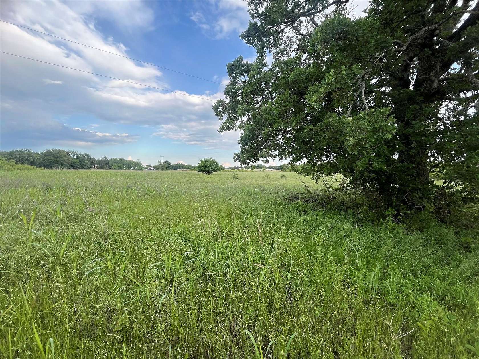 16 Acres of Land for Sale in Bowie, Texas