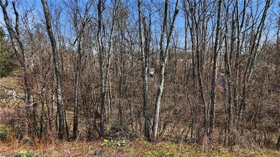 2 Acres of Residential Land for Sale in Senecaville, Ohio