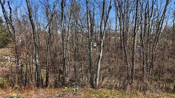 2 Acres of Residential Land for Sale in Senecaville, Ohio