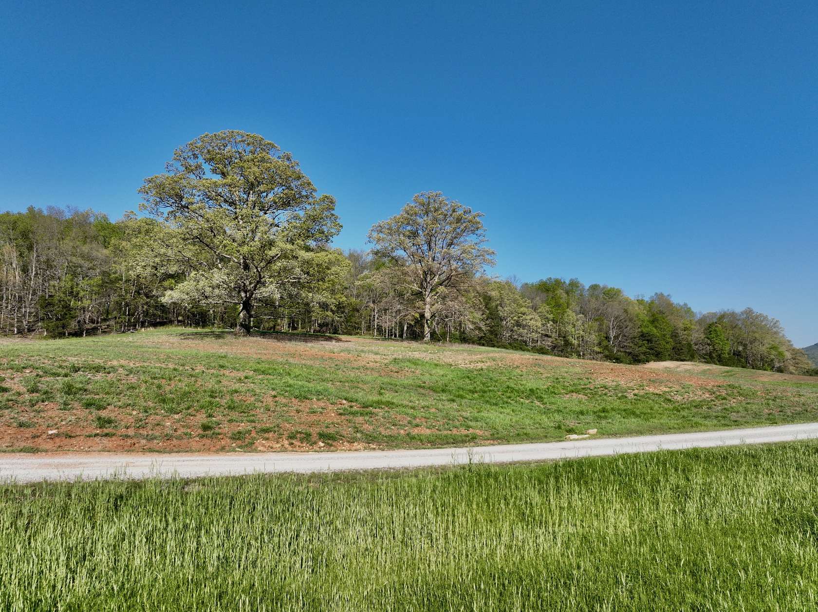 56.9 Acres of Recreational & Residential Land for Sale in Rock Island, Tennessee