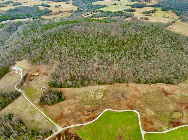 56.9 Acres of Recreational & Residential Land for Sale in Rock Island, Tennessee