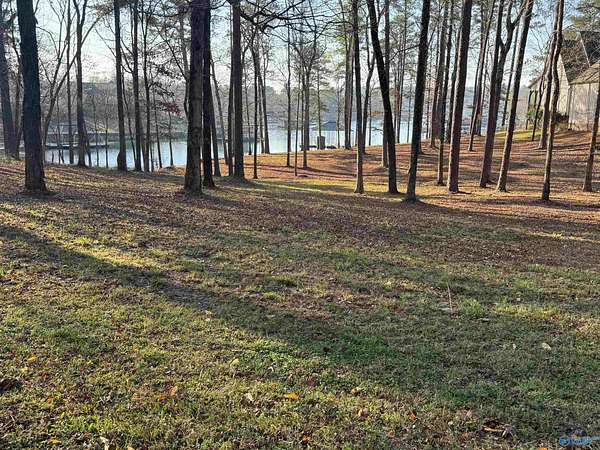 1.15 Acres of Residential Land for Sale in Crane Hill, Alabama