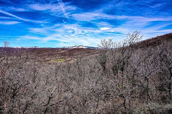 41.6 Acres of Recreational Land for Sale in Steamboat Springs, Colorado