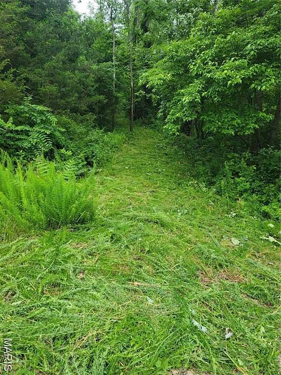 2.9 Acres of Residential Land for Sale in Augusta, Missouri