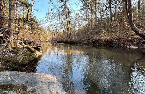 15.5 Acres of Recreational & Residential Land for Sale in Quitman, Arkansas