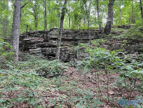 6.58 Acres of Residential Land for Sale in Guntersville, Alabama