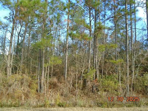 4.66 Acres of Residential Land for Sale in Norman Park, Georgia