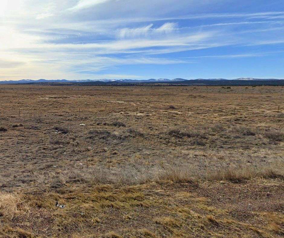 1 Acre of Residential Land for Sale in Concho, Arizona