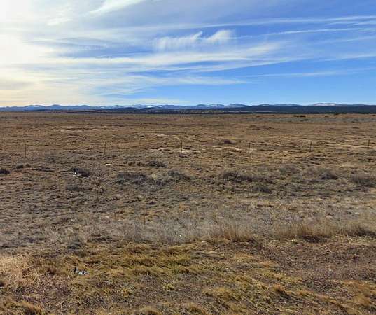 1 Acre of Residential Land for Sale in Concho, Arizona