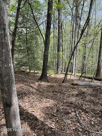 5 Acres of Residential Land for Sale in Carthage, North Carolina