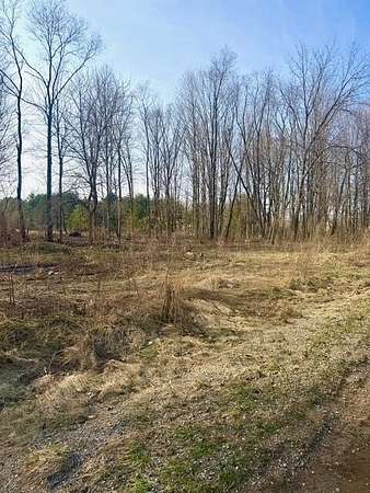 2.4 Acres of Residential Land for Sale in Hopkins, Michigan