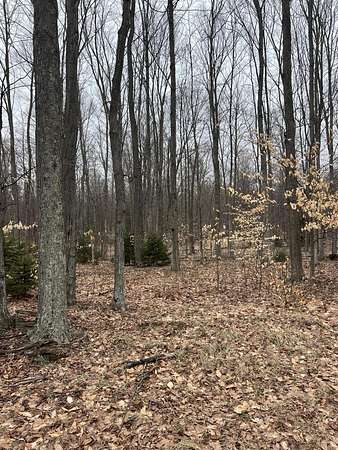 14.3 Acres of Land for Sale in Ludington, Michigan