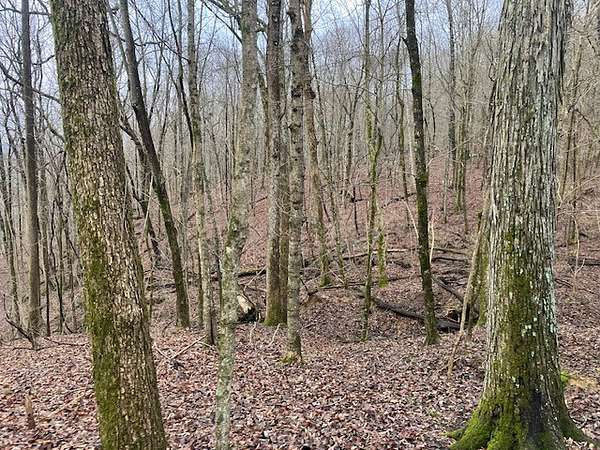 121 Acres of Recreational Land for Sale in Huntland, Tennessee