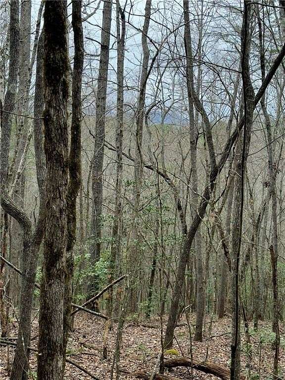 3.75 Acres of Residential Land for Sale in Ellijay, Georgia
