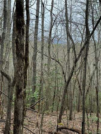 3.75 Acres of Residential Land for Sale in Ellijay, Georgia