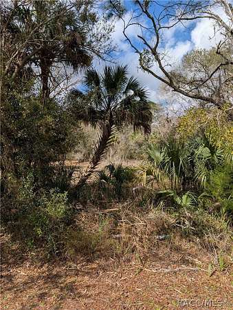 2.36 Acres of Residential Land for Sale in Inglis, Florida