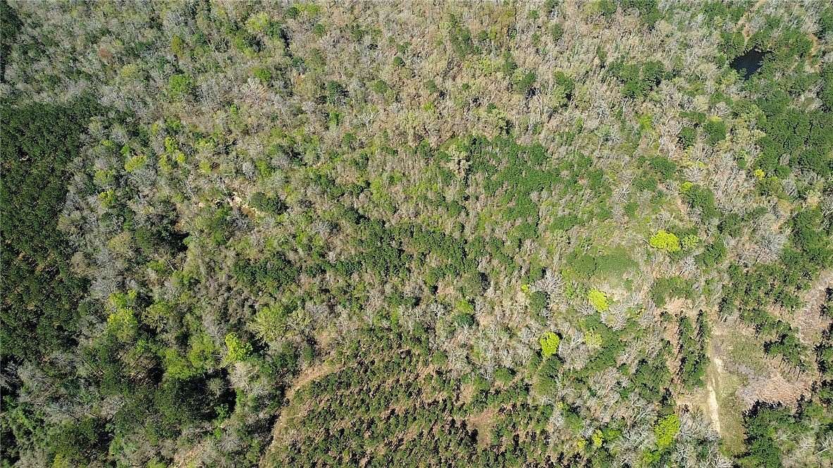 14 Acres of Recreational Land for Sale in Newton, Texas