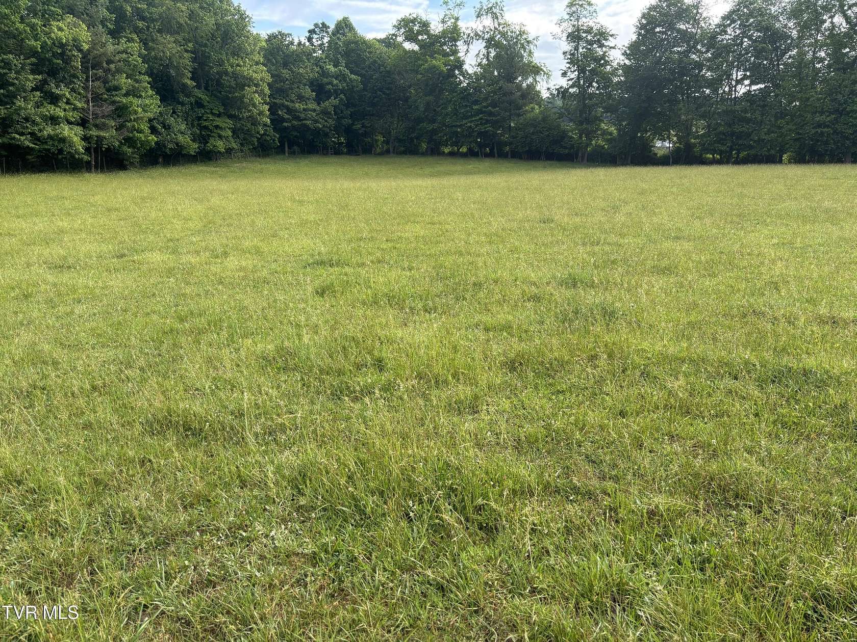 52.1 Acres of Recreational & Residential Land for Sale in Mountain City, Tennessee