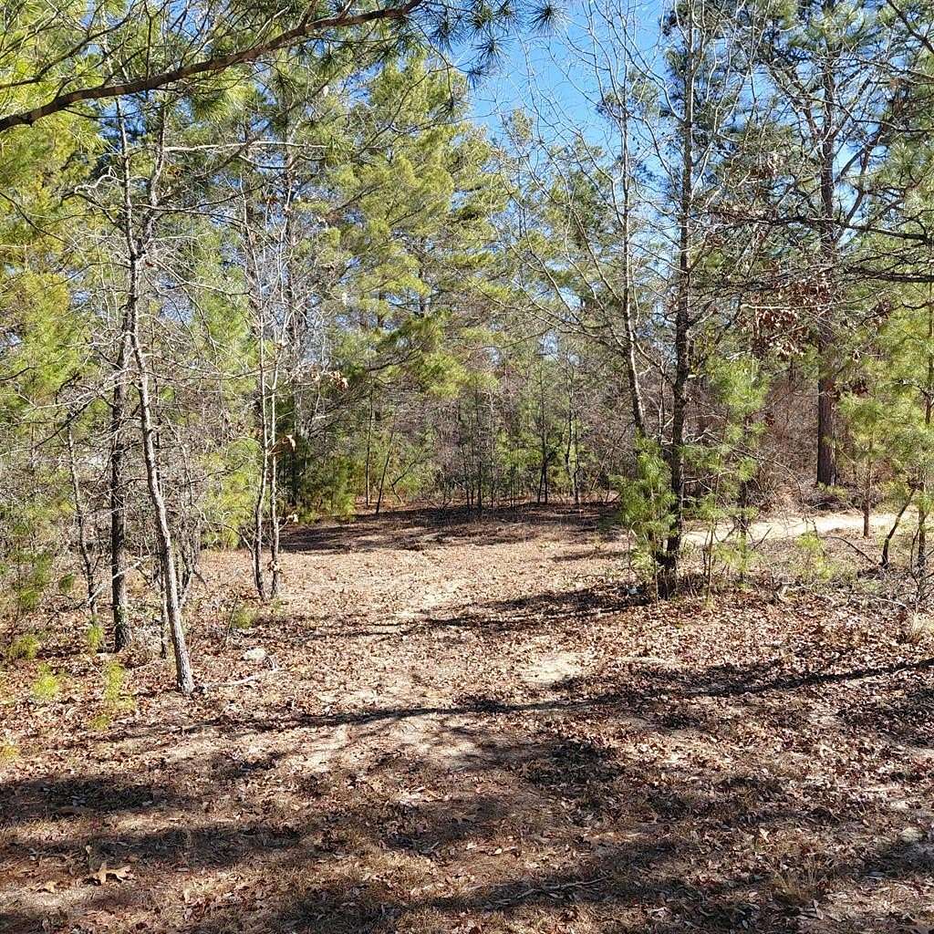9.17 Acres of Residential Land for Sale in Box Springs, Georgia