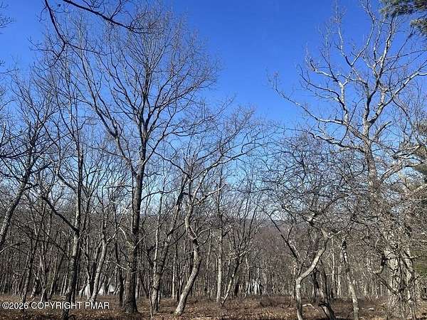 1 Acre of Residential Land for Sale in Henryville, Pennsylvania