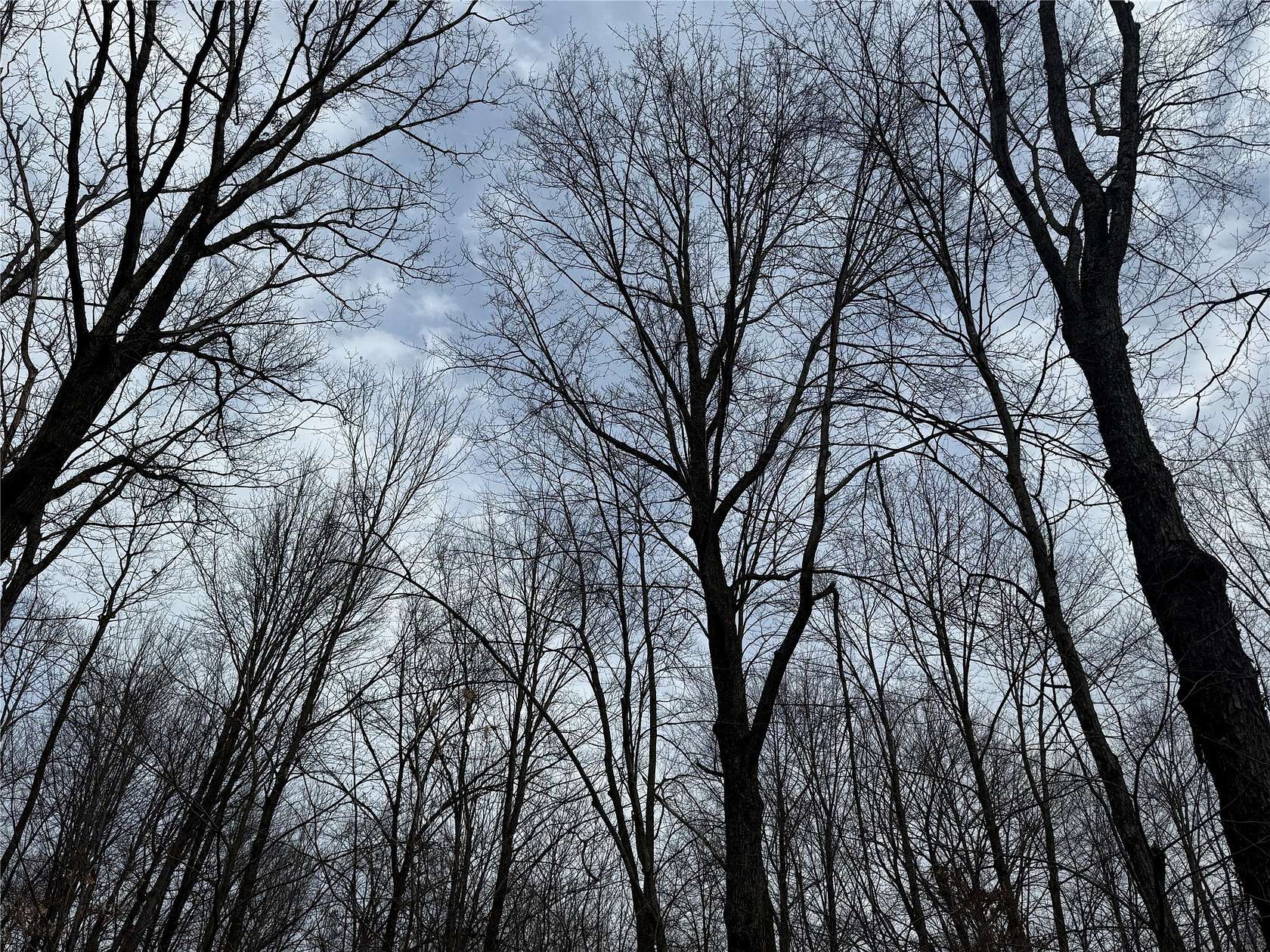 74.8 Acres of Recreational Land for Sale in Granton, Wisconsin