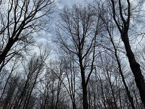 74.8 Acres of Recreational Land for Sale in Granton, Wisconsin