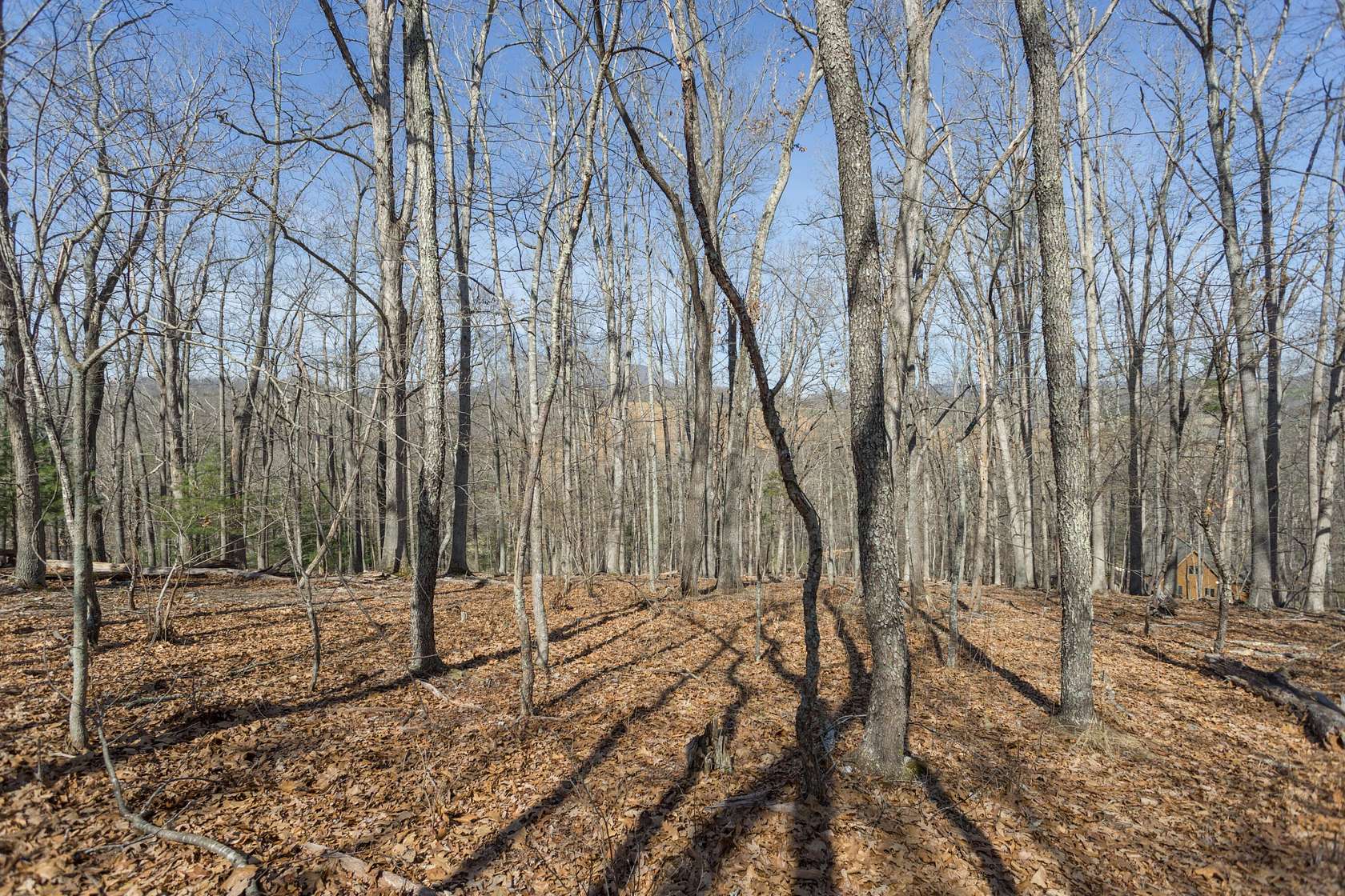 5.9 Acres of Residential Land for Sale in Lexington, Virginia