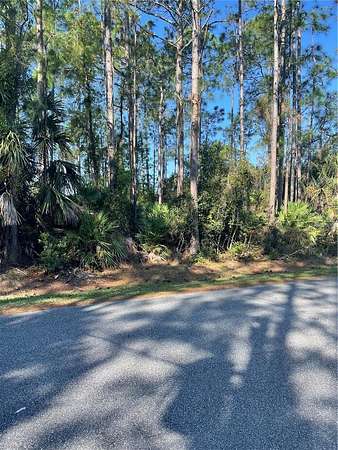0.29 Acres of Residential Land for Sale in Palm Coast, Florida