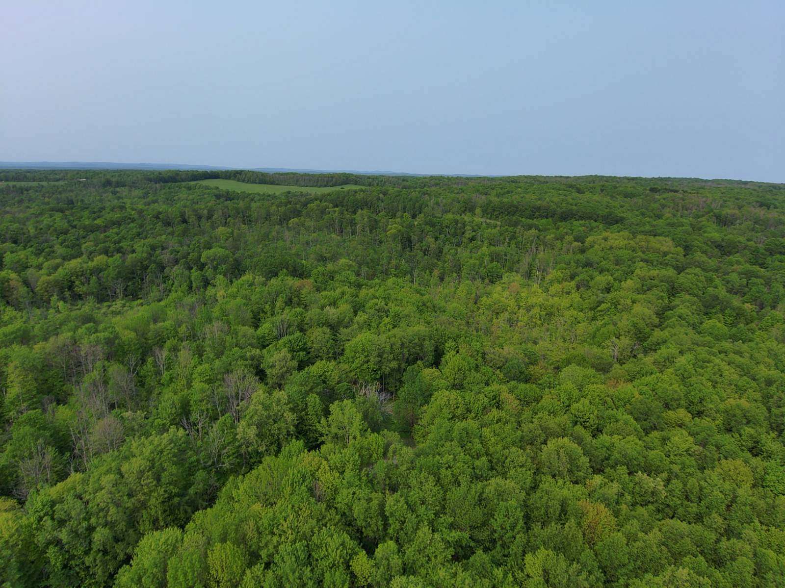 6.44 Acres of Residential Land for Sale in Newport, New York