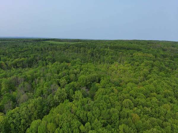 6.44 Acres of Residential Land for Sale in Newport, New York