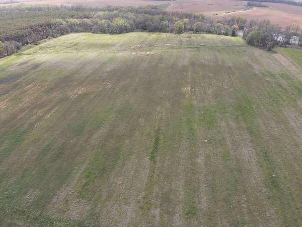 70 Acres of Agricultural Land for Sale in Mer Rouge, Louisiana