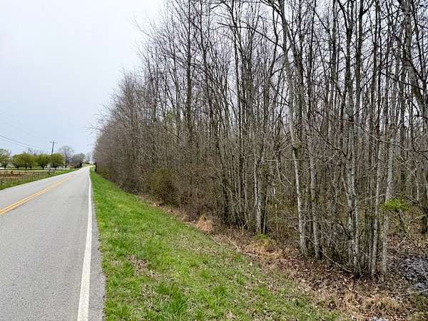 32 Acres of Recreational Land for Auction in McMinnville, Tennessee