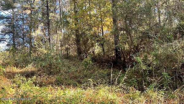 11.1 Acres of Land for Sale in McComb, Mississippi