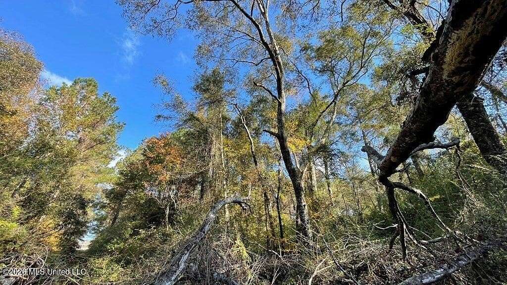 16 Acres of Land for Sale in McComb, Mississippi