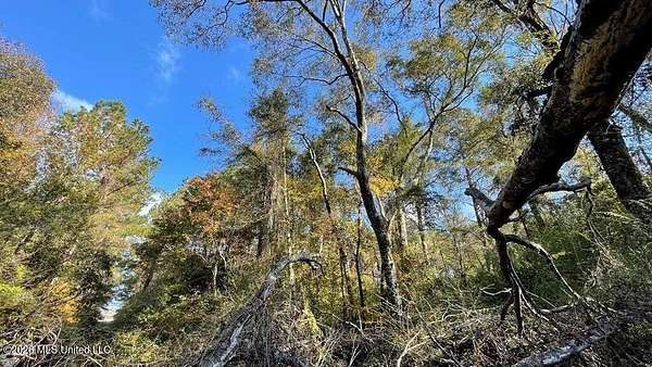 16 Acres of Land for Sale in McComb, Mississippi