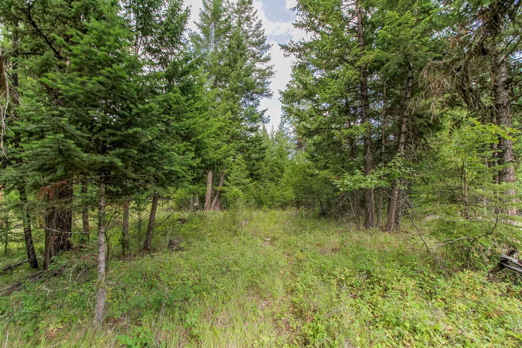 17.3 Acres of Recreational & Residential Land for Sale in Kila, Montana