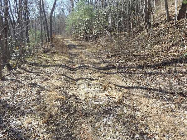 25.4 Acres of Recreational Land for Sale in Stuart, Virginia