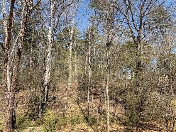 3 Acres of Residential Land for Sale in Dacula, Georgia