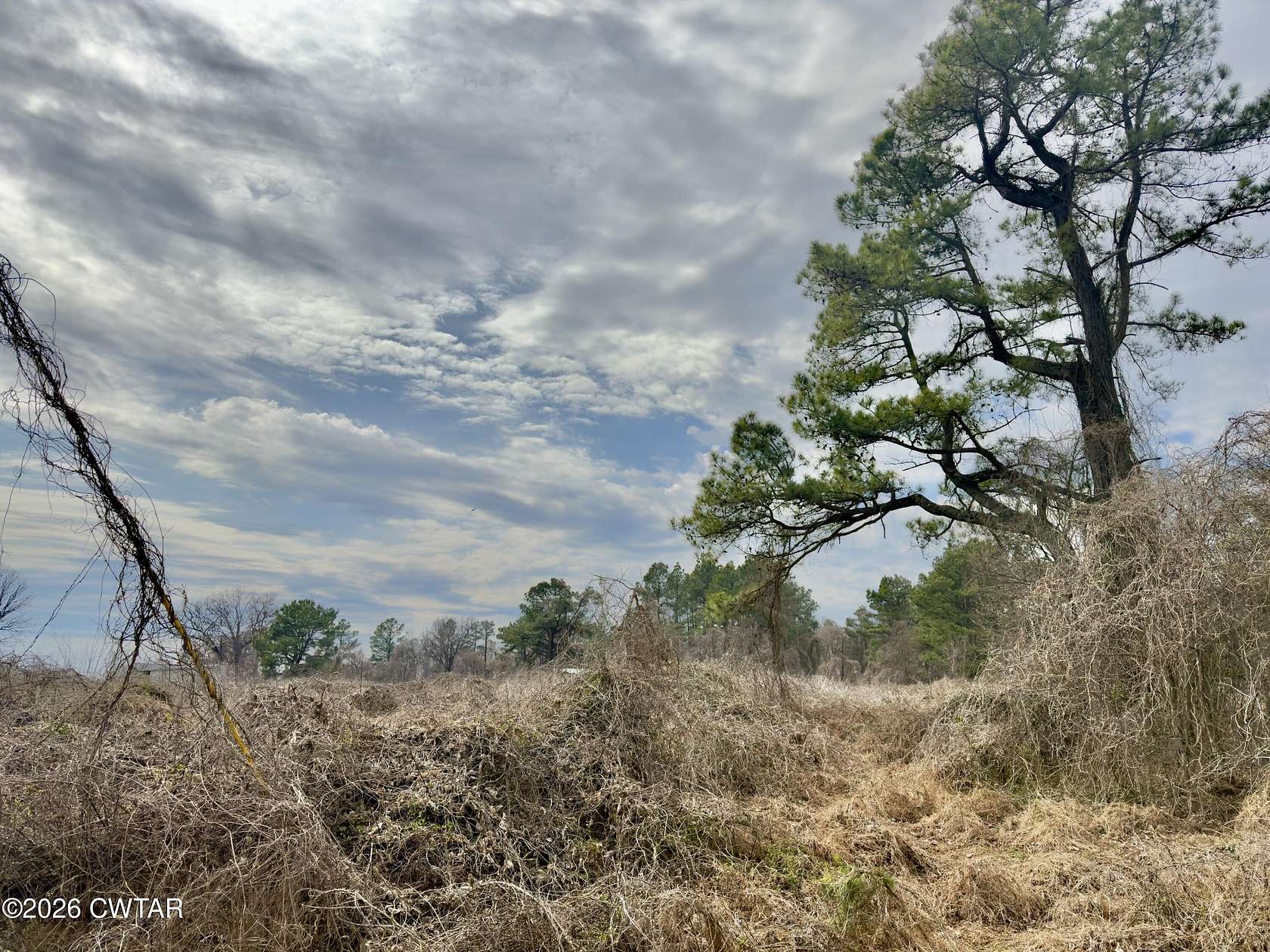 2.37 Acres of Residential Land for Sale in Denmark, Tennessee