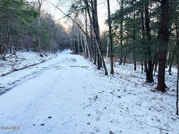 7.9 Acres of Land for Sale in Warnerville, New York