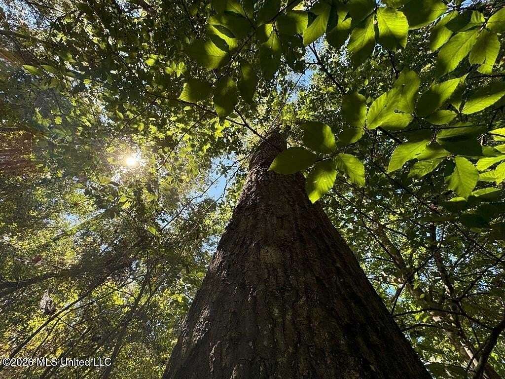 10.4 Acres of Land for Sale in McComb, Mississippi