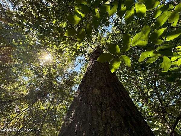 10.4 Acres of Land for Sale in McComb, Mississippi