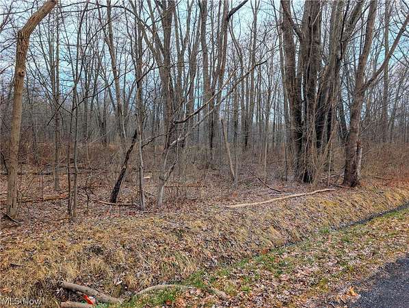 0.47 Acres of Land for Sale in Madison, Ohio