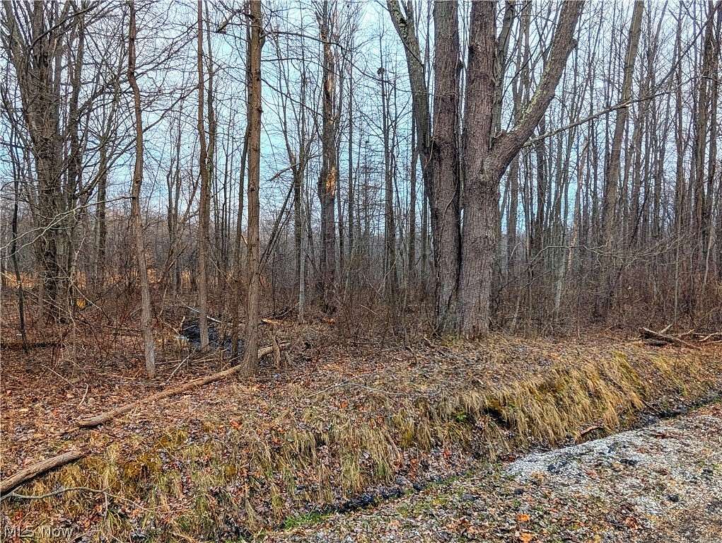 0.47 Acres of Land for Sale in Madison, Ohio