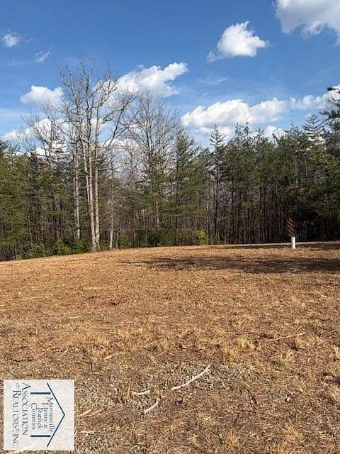 10.6 Acres of Land for Sale in Woolwine, Virginia