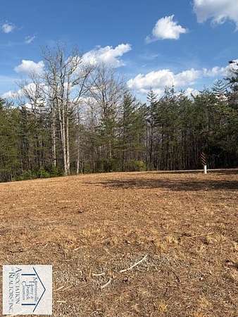 10.6 Acres of Land for Sale in Woolwine, Virginia